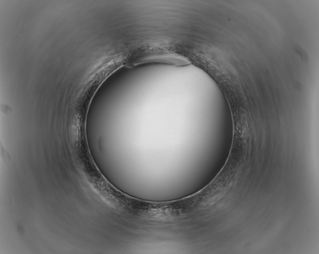 X0000090920744200708061542