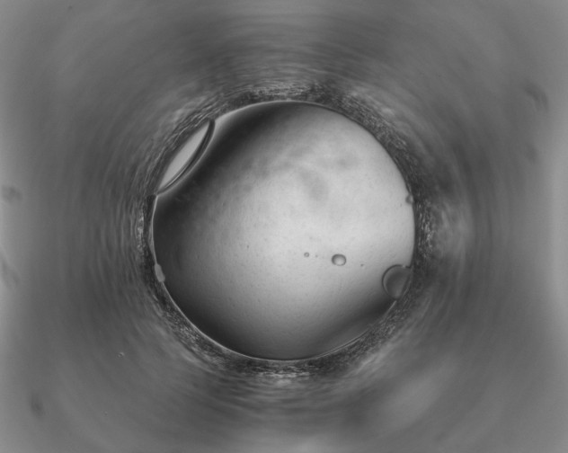 X0000090920745200708061542