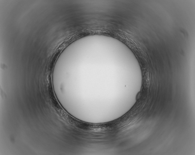 X0000090920746200708061542