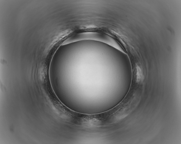 X0000090920747200708061542