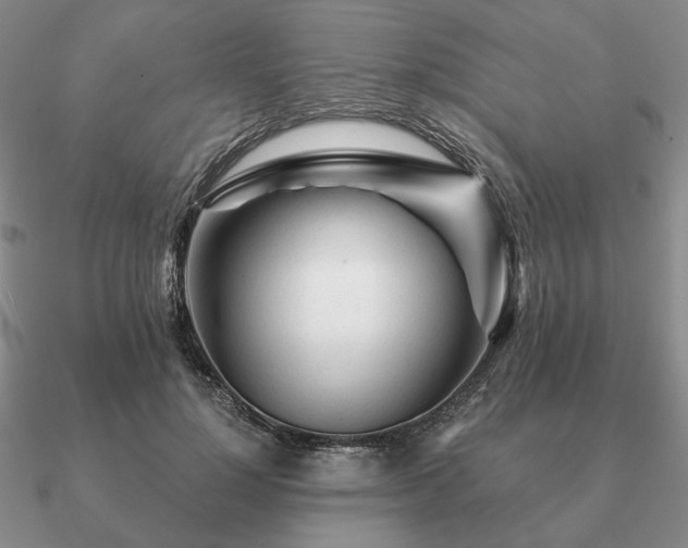 X0000090920748200708061542