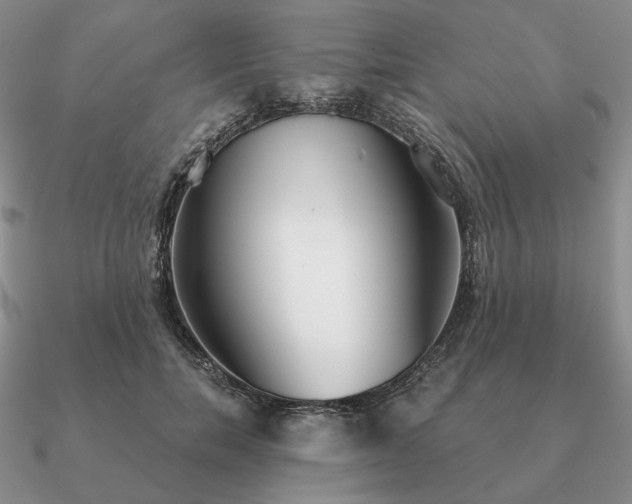 X0000090920750200708061542