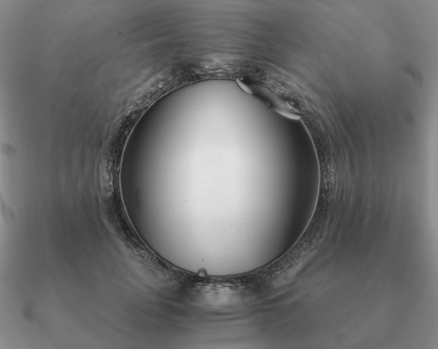 X0000090920751200708061542