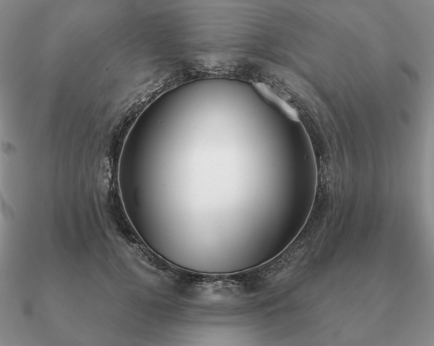 X0000090920752200708061542