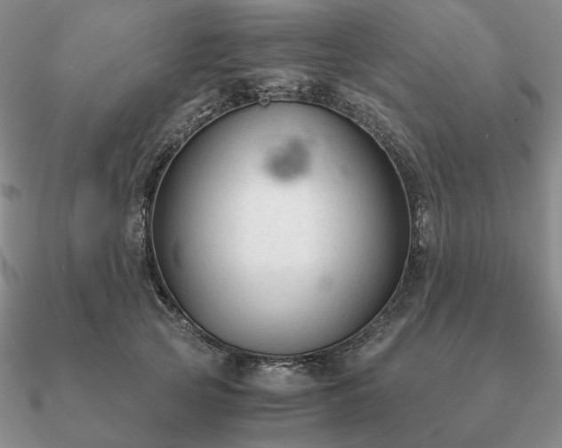 X0000090920753200708061542