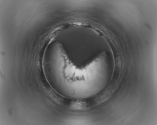 X0000090920754200708061542