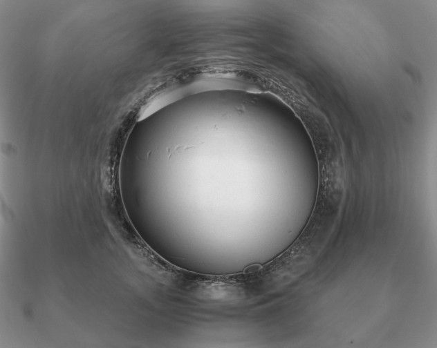 X0000090920755200708061543