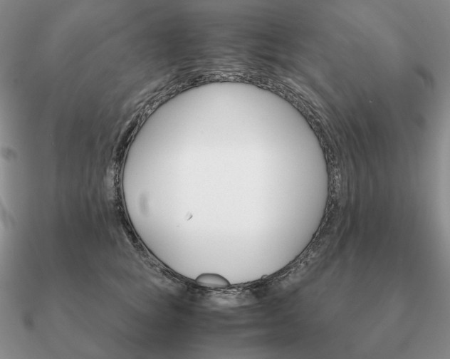 X0000090920757200708061543