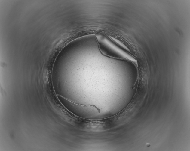 X0000090920758200708061543