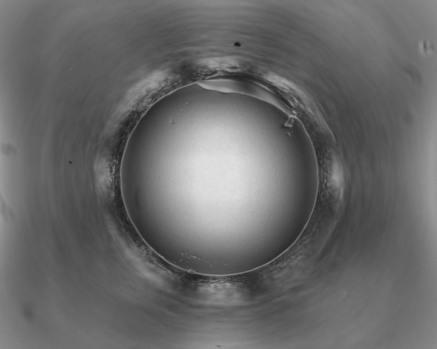 X0000090920759200708061543