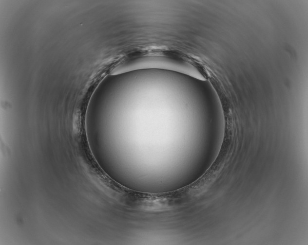 X0000090920760200708061543