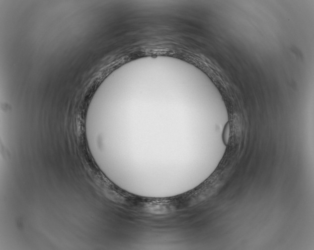 X0000090920761200708061543