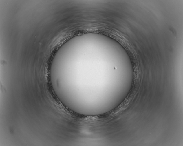 X0000090920762200708061543