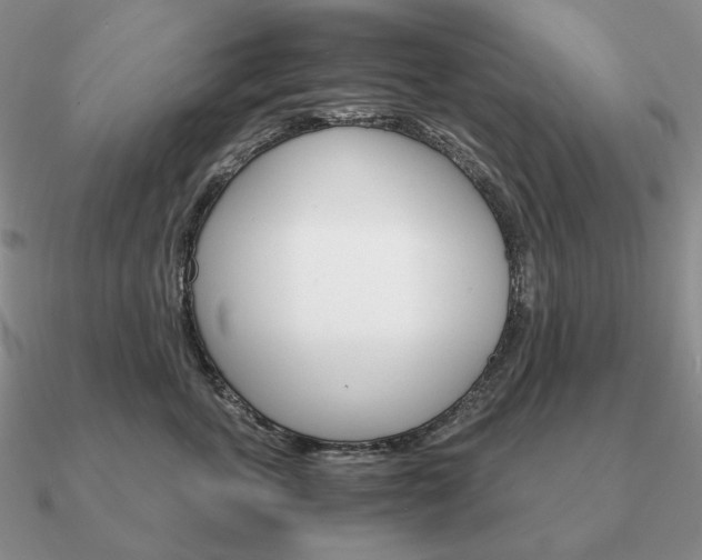 X0000090920763200708061543