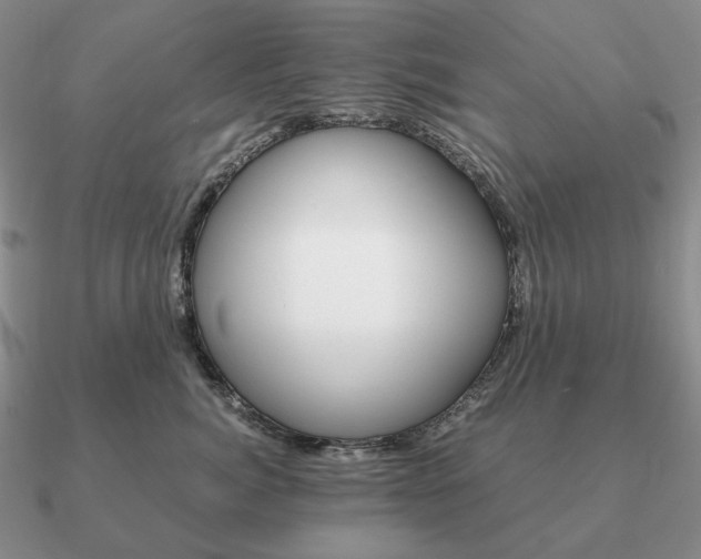 X0000090920764200708061543