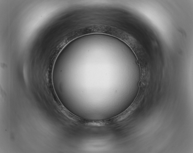 X0000090920765200708061543