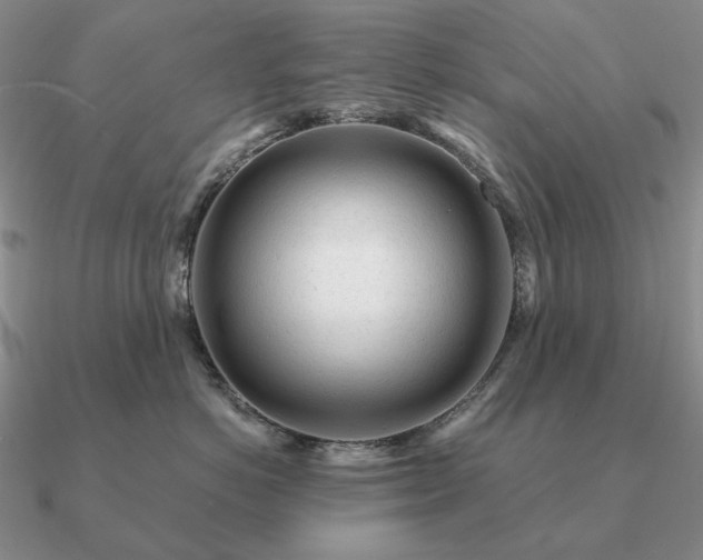 X0000090920766200708061543