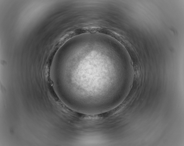 X0000090920767200708061543