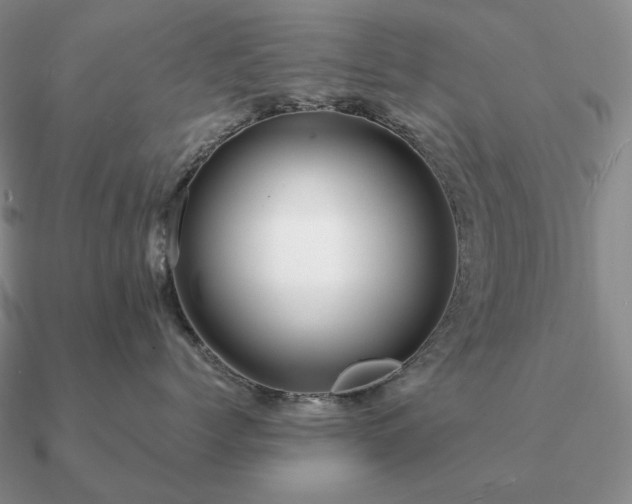 X0000090920768200708061543