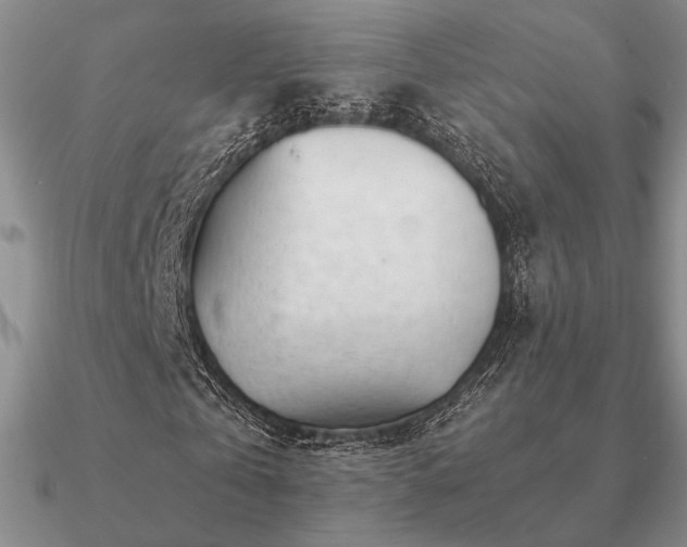 X0000090920769200708061542