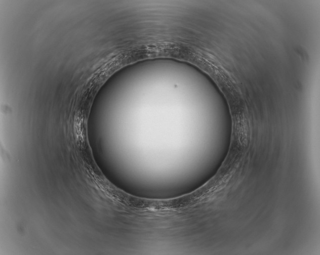 X0000090920770200708061542