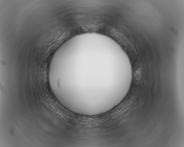 X0000090920772200708061542