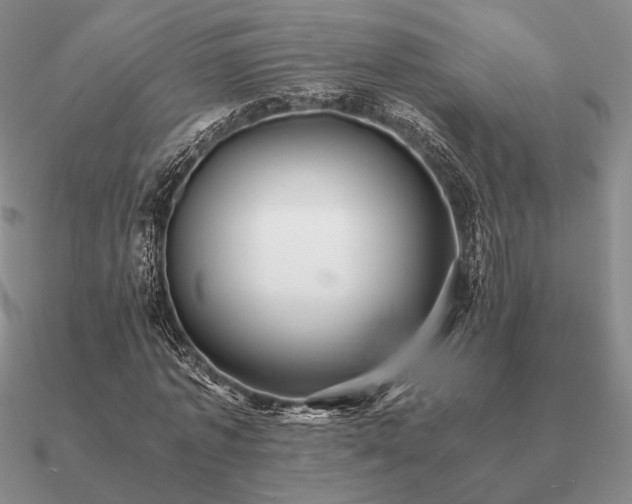 X0000090920773200708061542