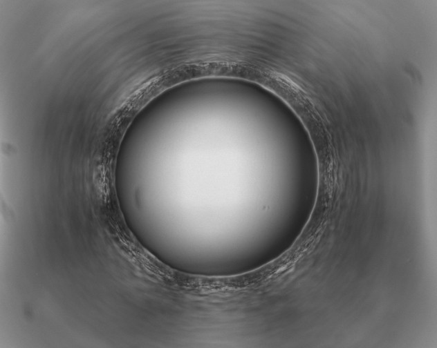 X0000090920774200708061542