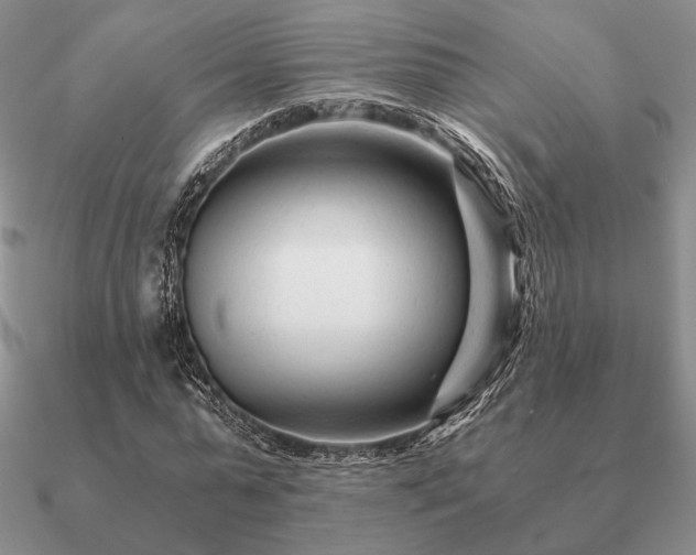 X0000090920775200708061542