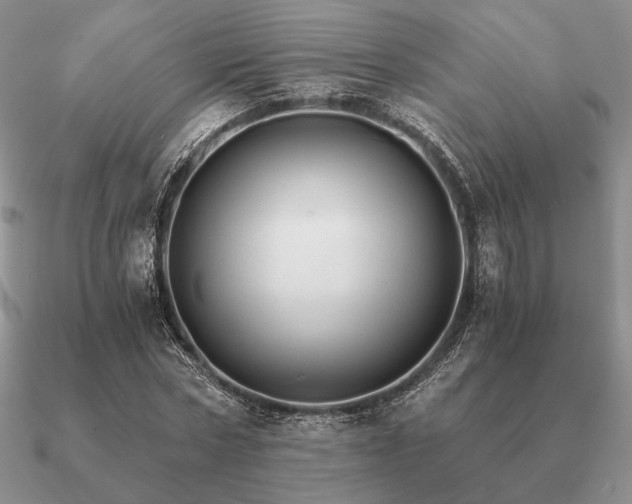 X0000090920778200708061542