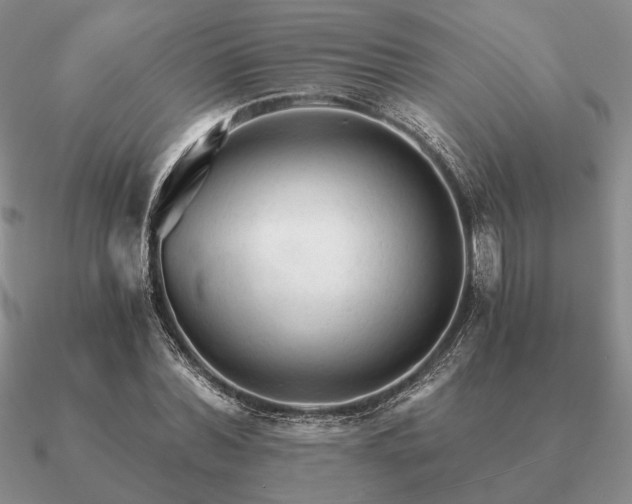 X0000090920780200708061542