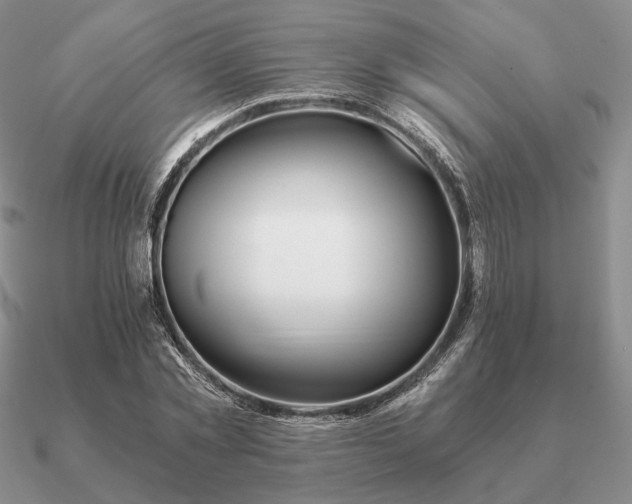 X0000090920781200708061542