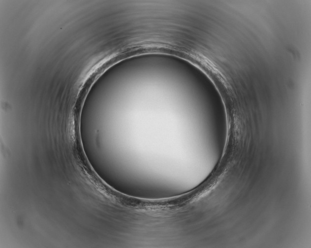 X0000090920782200708061542