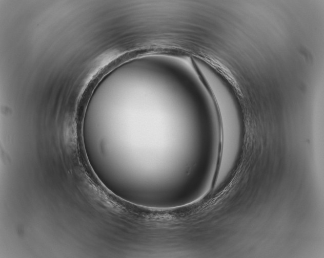 X0000090920784200708061542