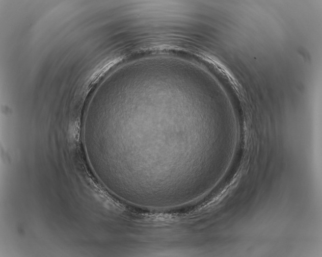 X0000090920785200708061542