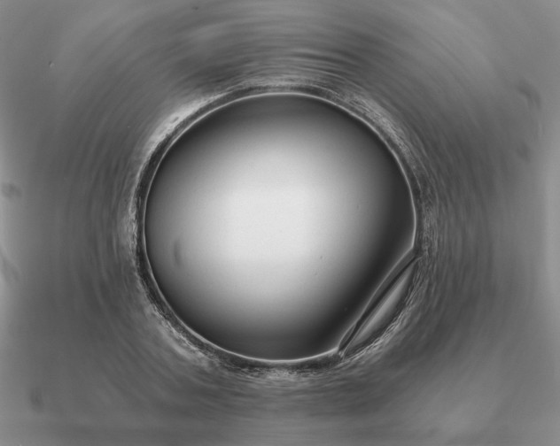 X0000090920787200708061542