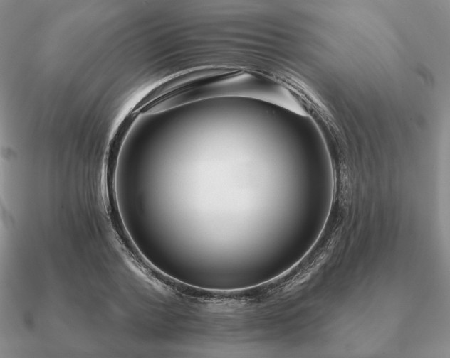 X0000090920788200708061542