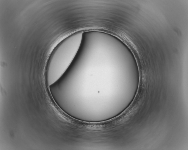 X0000090920789200708061542