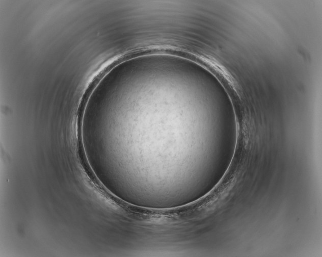 X0000090920790200708061542