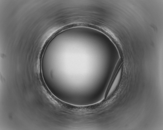 X0000090920791200708061542