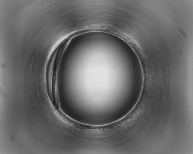 X0000090920792200708061542