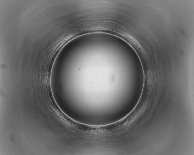 X0000090920793200708061542