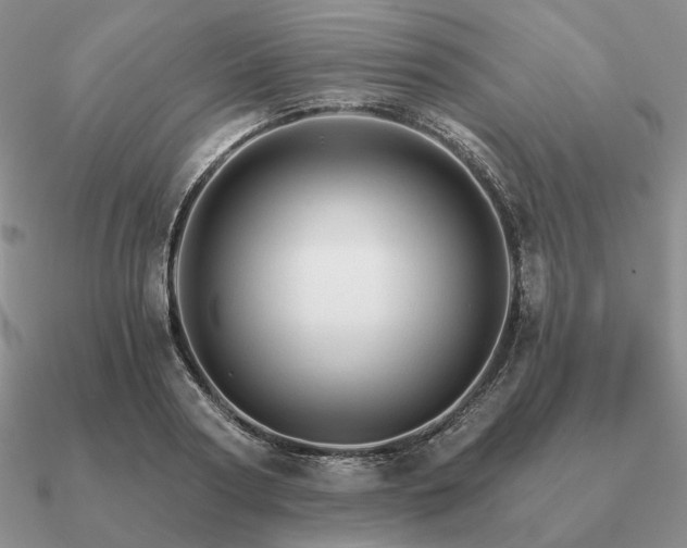 X0000090920794200708061542