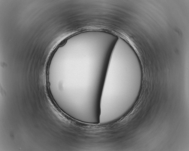 X0000090920795200708061542