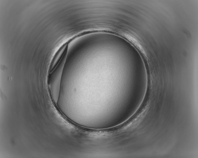 X0000090920797200708061542