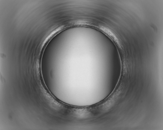 X0000090920798200708061542