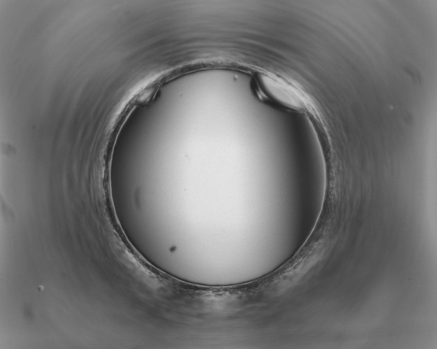 X0000090920799200708061542