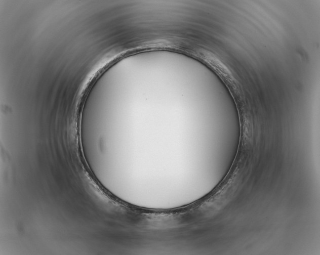 X0000090920800200708061542