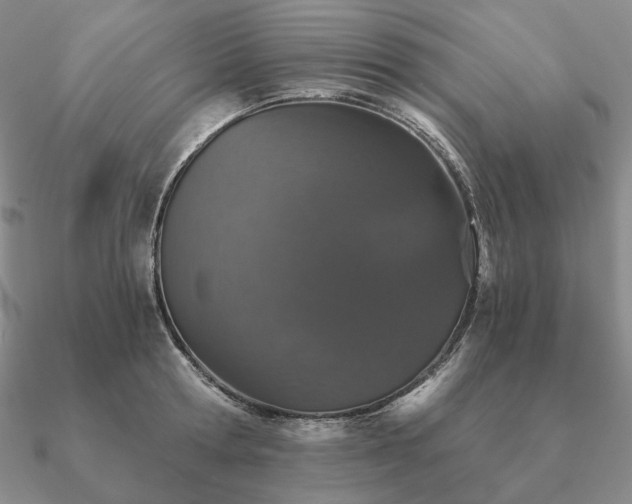 X0000090920802200708061542