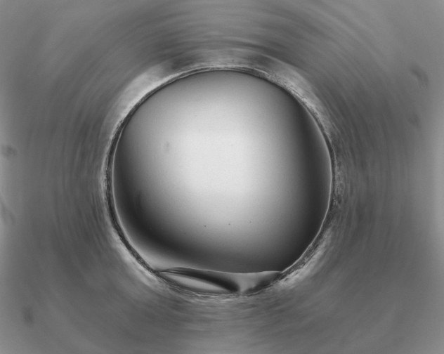 X0000090920803200708061542